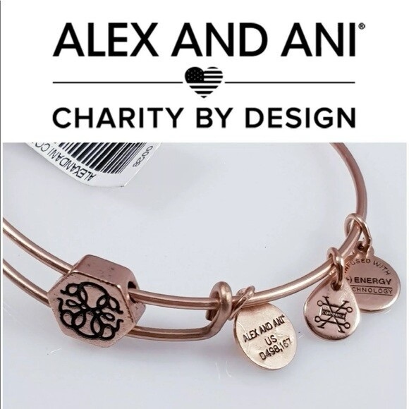 Alex and Ani Rose Gold Path of Life Symbol Charm Bracelet - Picture 4 of 4